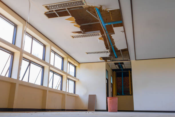 Best Flooded house restoration  in Thatcher, UT