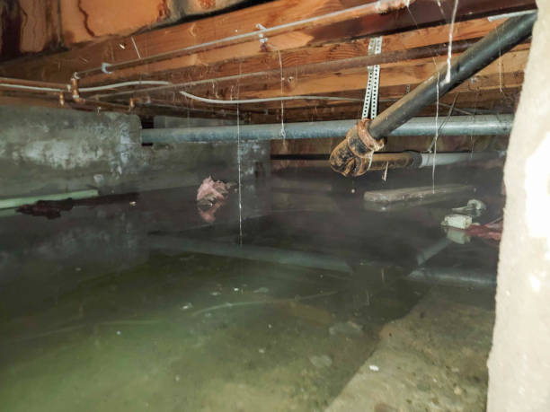 Best 24/7 water damage repair  in Thatcher, UT