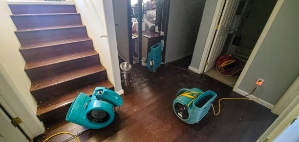 Water damage restoration mold remediation in UT
