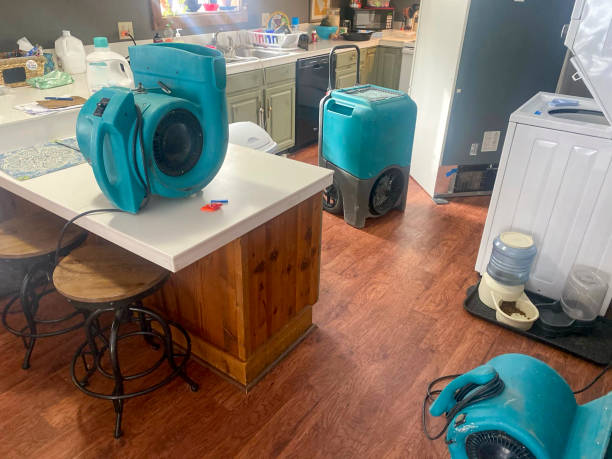 Best 24-hour water damage restoration  in Thatcher, UT