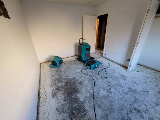 Best Residential water damage restoration  in Thatcher, UT