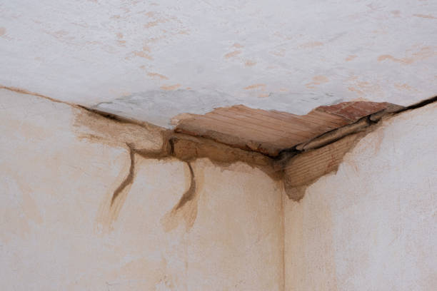Best Fire Damage Restoration  in Thatcher, UT