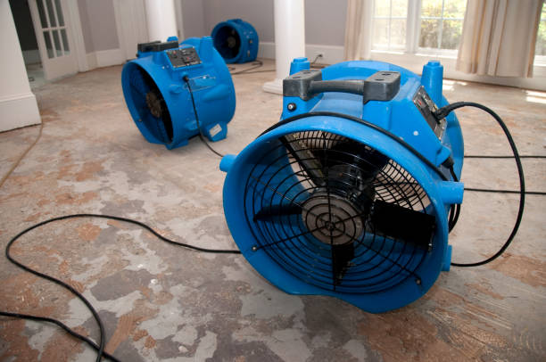 Best Ceiling water damage repair  in Thatcher, UT